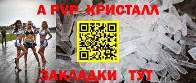 тгк Кингисепп