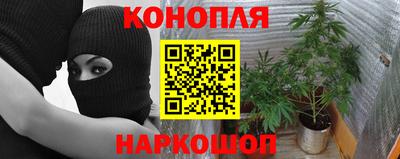 тгк Кингисепп