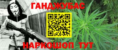 тгк Кингисепп