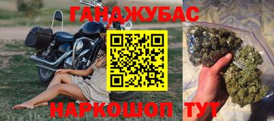тгк Кингисепп
