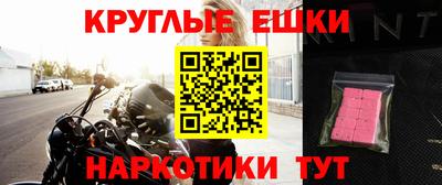 тгк Кингисепп