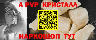 тгк Кингисепп