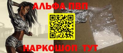тгк Кингисепп