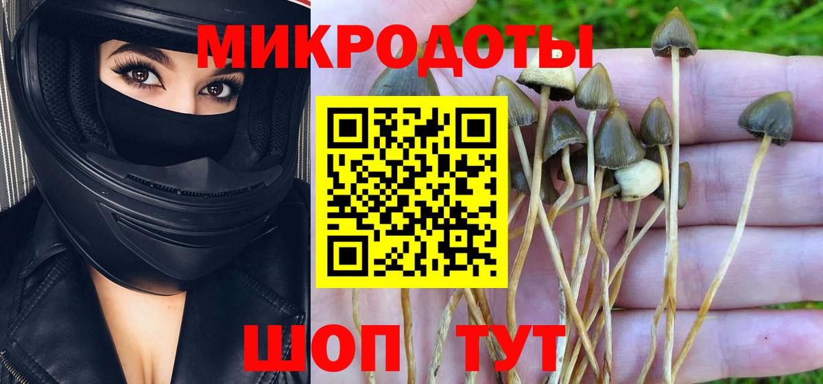 Кореновск  Галлюциногенные грибы мухоморы  где купить   Вход с VPN 